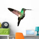 Tyrian Metaltail Hummingbird in Ecuador (white Background) 
