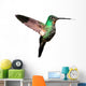 Tyrian Metaltail Hummingbird in Ecuador (white Background) 