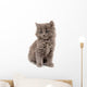 Gray Kitten Wall Decal