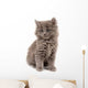 Gray Kitten Wall Decal