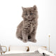 Gray Kitten Wall Decal