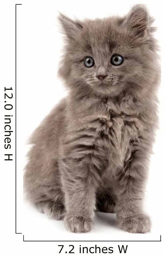 Gray Kitten Wall Decal