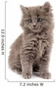 Gray Kitten Wall Decal