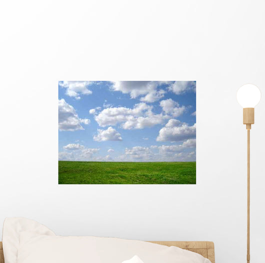 Green Grass and Blue Wall Decal