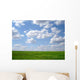 Green Grass and Blue Wall Decal