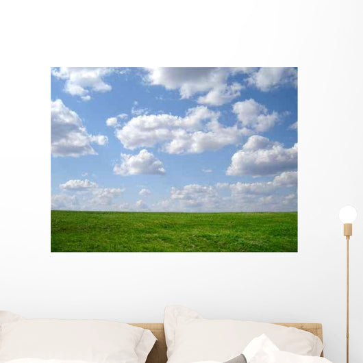 Green Grass and Blue Wall Decal