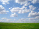 Green Grass and Blue Wall Decal
