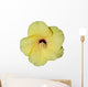 Hibiscus jaune Wall Mural