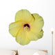 Hibiscus jaune Wall Mural