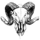 Ram Skull Wall Decal