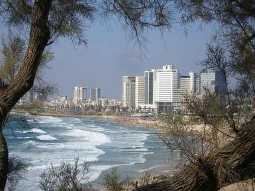 Tel Aviv Wall Decal Design 2