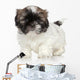 Shih-tzu Puppy Portrait Wall Decal