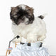 Shih-tzu Puppy Portrait Wall Decal