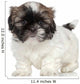 Shih-tzu Puppy Portrait Wall Decal