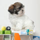 Shihtzu Puppy Portrait Wall Decal
