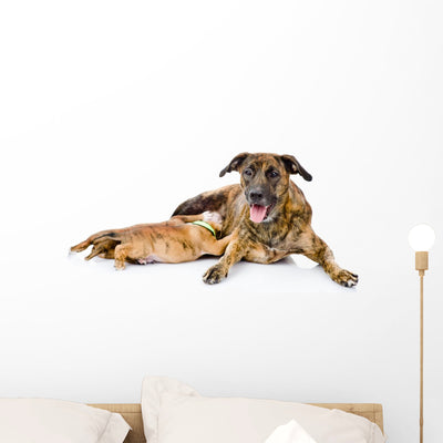 Adult Dog Feeds Puppies shown on a wall