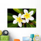 Glorious frangipani (plumeria) tropical flowers Wall Mural