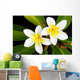 Glorious frangipani (plumeria) tropical flowers Wall Mural