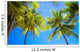 Coconut Palm tree on the sandy beach in Philippines Wall Mural