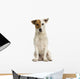 Front view of a Jack russell terrier sitting, isolated Wall Decal