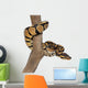 Royal Python on a Branch Wall Decal