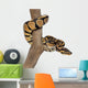 Royal Python on a Branch Wall Decal
