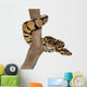 Royal Python on a Branch Wall Decal