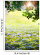 Art Sunlight in the green easter forest, spring time 