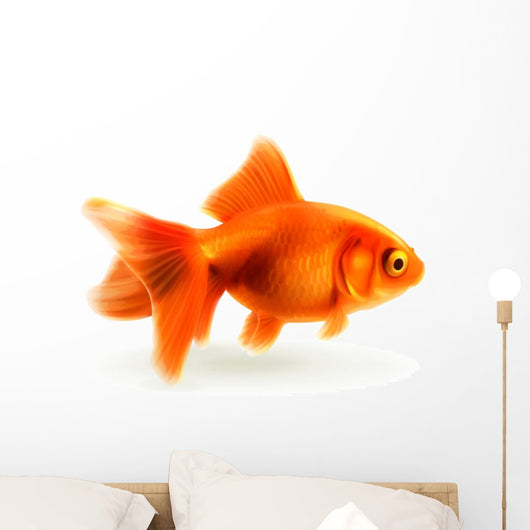 Goldfish, photorealistic vector illustration Wall Decal