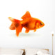 Goldfish, photorealistic vector illustration Wall Decal