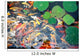 beautiful koi fish swimming in the pond Wall Mural