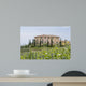 Vineyard in Tuscany 