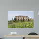 Vineyard in Tuscany 