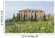Vineyard in Tuscany 