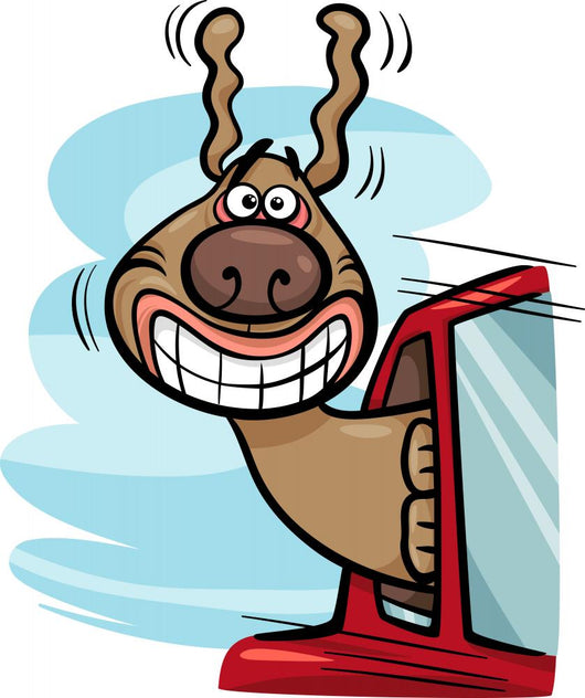 dog in car cartoon illustration 
