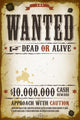 Wanted Vintage Western Poster 