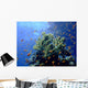Underwater Landscape with Scalefin Wall Decal