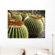 Lanzarote Wall Decal