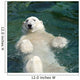 Polar bear (Ursus maritimus) swimming in the water Wall Mural