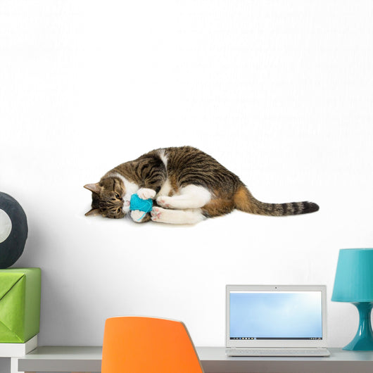 Cat Plays Ball of Wool 