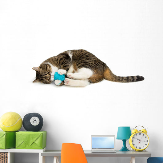 Cat Plays Ball of Wool 