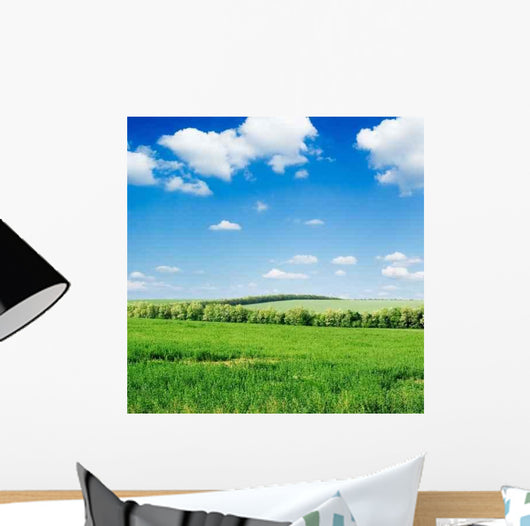 Field and Blue Sky Wall Decal