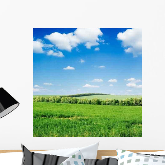 Field and Blue Sky Wall Decal