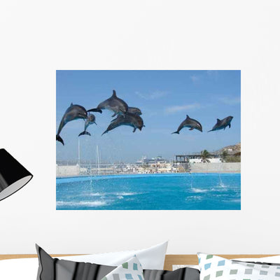Dolphins Wall Decal shown on a wall