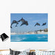Dolphins Wall Decal