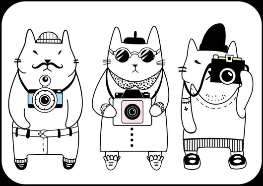 cute hipster cats Wall Mural