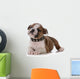 Bulldog Puppy Wall Decal
