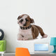 Bulldog Puppy Wall Decal