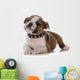 Bulldog Puppy Wall Decal