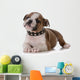 Bulldog Puppy Wall Decal